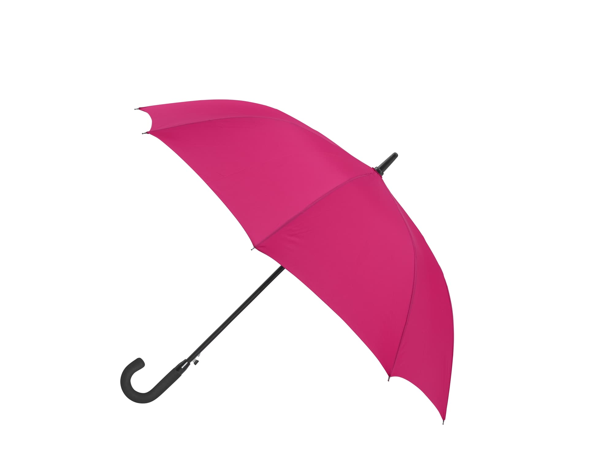 Cirrus Umbrella – bilde 3