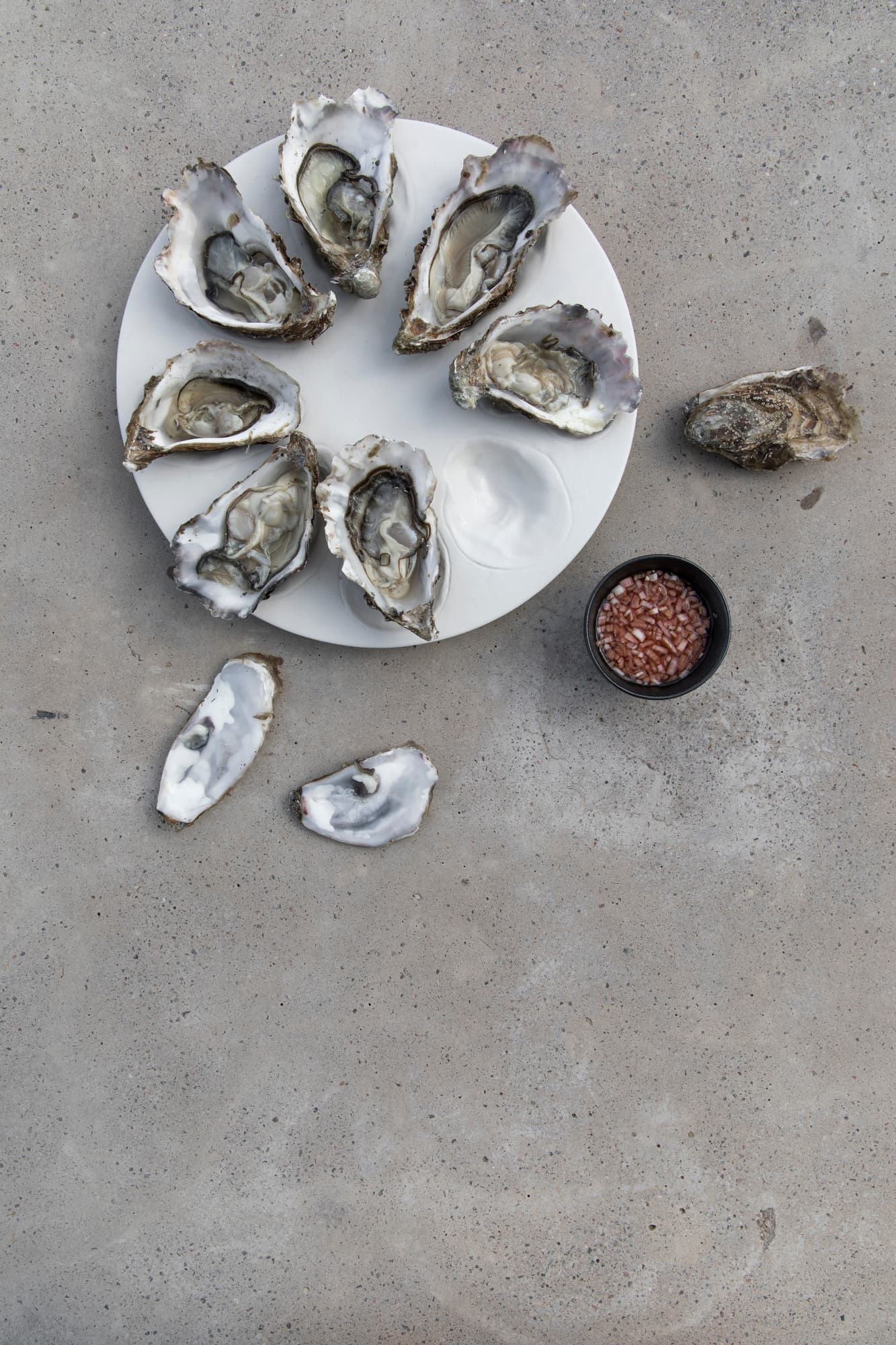 Serveringsfat Oyster