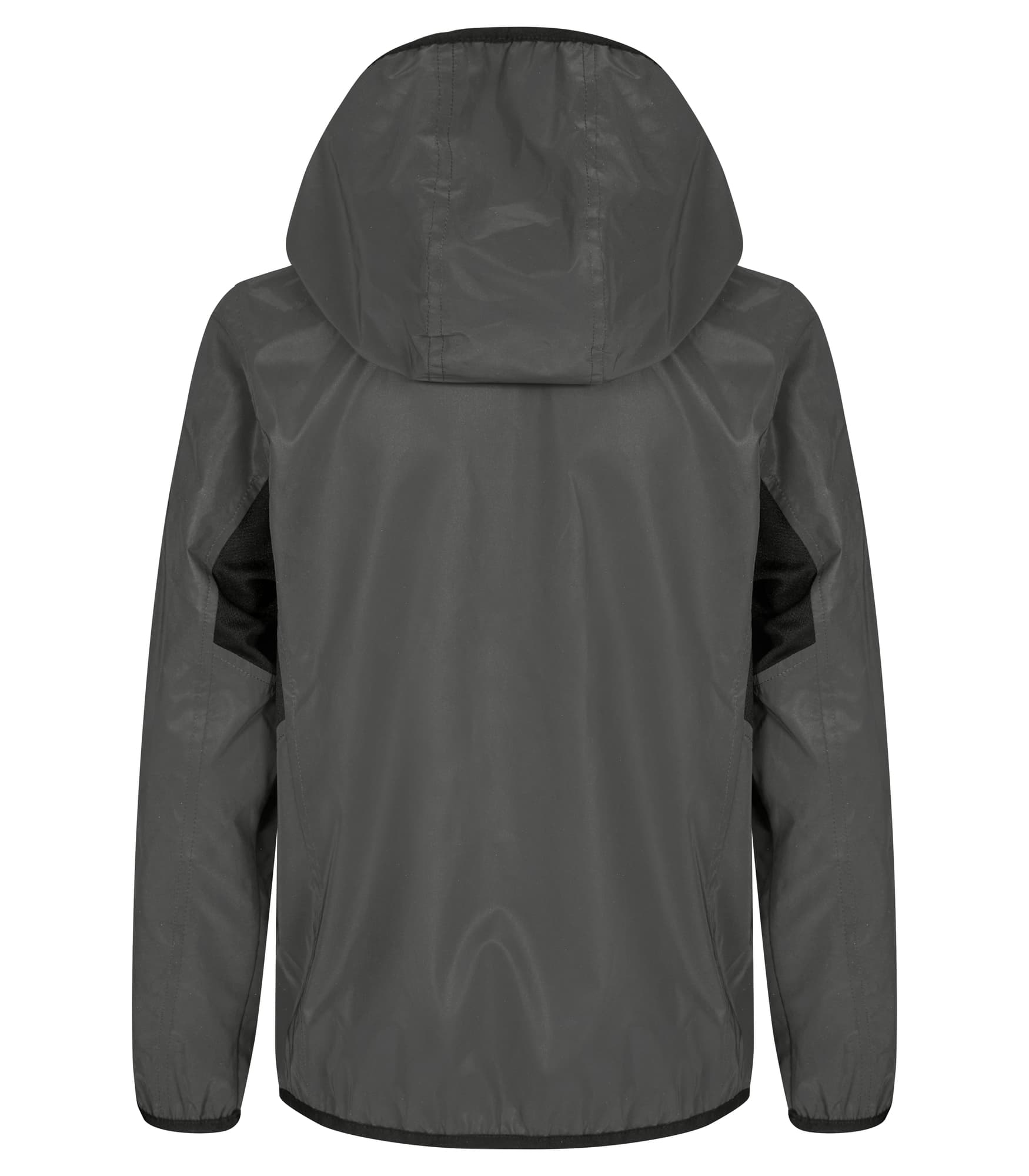 Willmar Junior – bilde 2