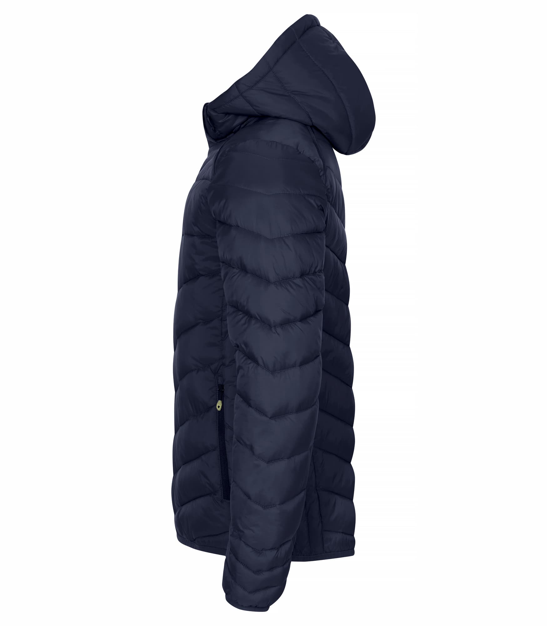 Idaho Junior – bilde 3
