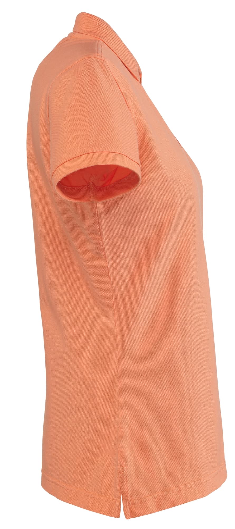 Gifford Lady – bilde 5