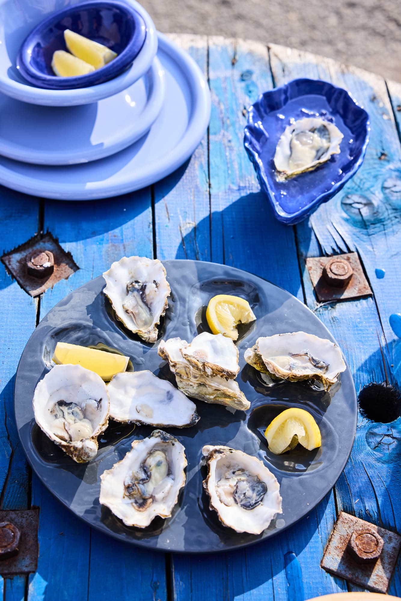 Skål Oystie – bilde 4